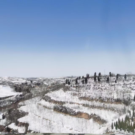 1772267842997005.jpg 微信图片_20260228132311_99_470.jpg