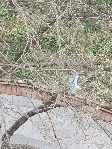 1776071491128415.jpg 053a9ee9406ef93be3a6ef394a958f79.jpg