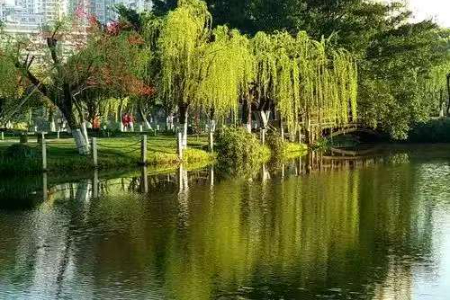 1776071519898376.jpg 97bcc31e71adfc5b7d66801d3a63f16a.jpg